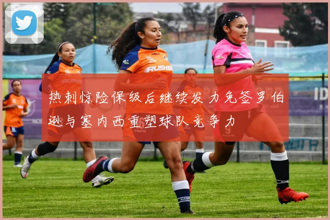 热刺惊险保级后继续发力免签罗伯逊与塞内西重塑球队竞争力